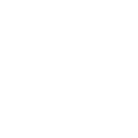 Software Development