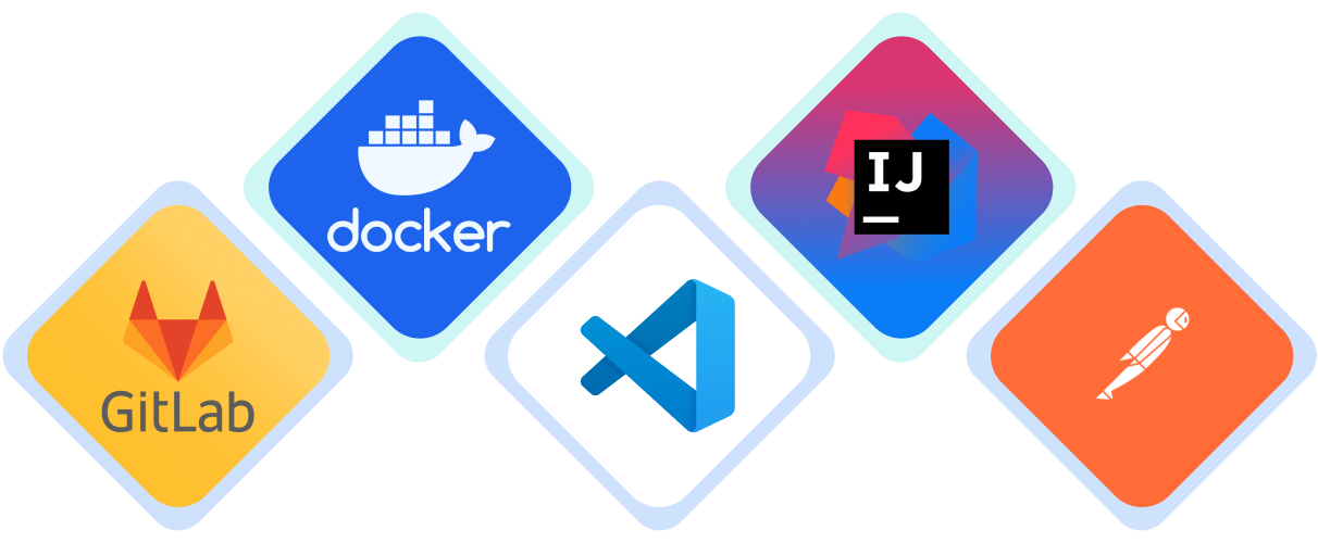 software development services